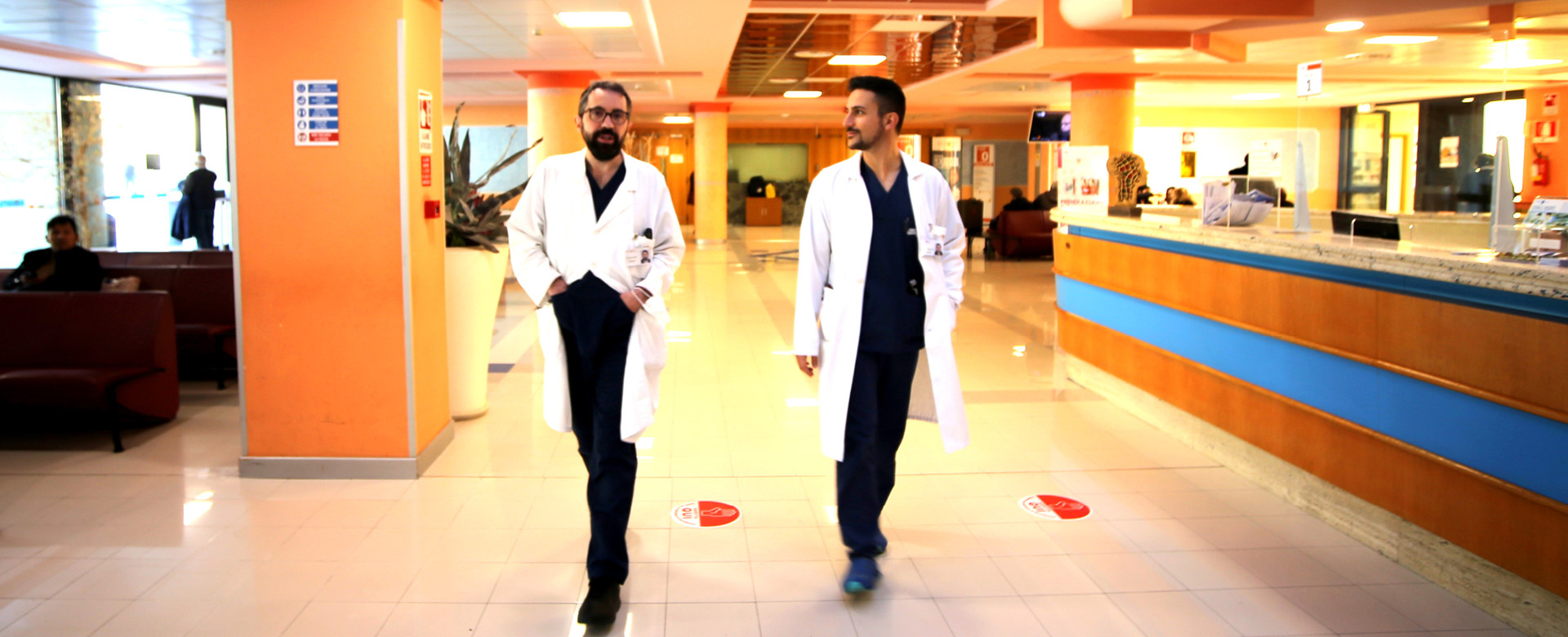 clinica neuromed pozzilli come arrivare
