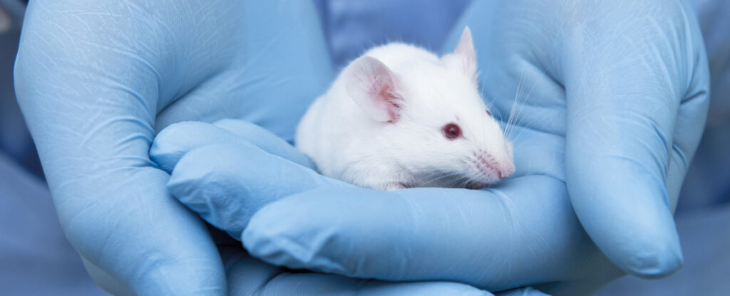 AREA SPERIMENTAZIONE E BENESSERE ANIMALE