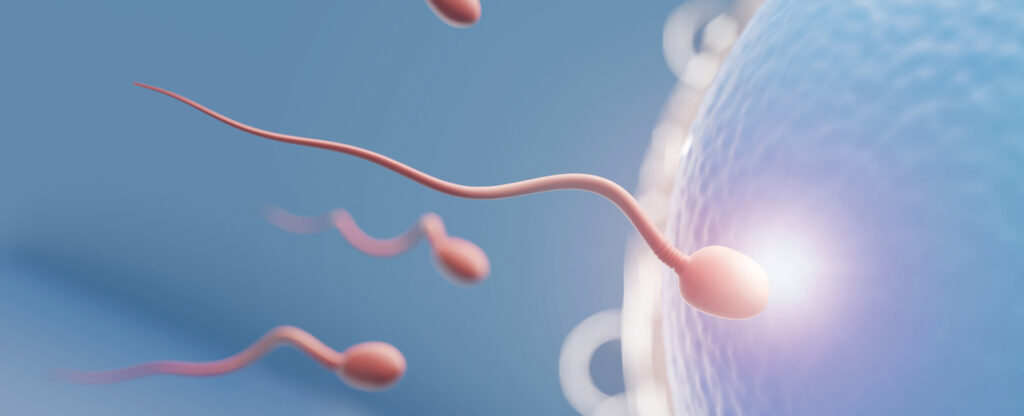 Infertilità di coppia