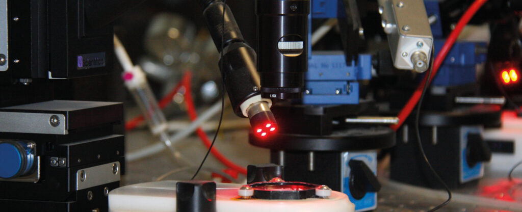 AREA NEUROFISIOLOGIA NEUROFARMACOLOGIA-INFLAMMAGING