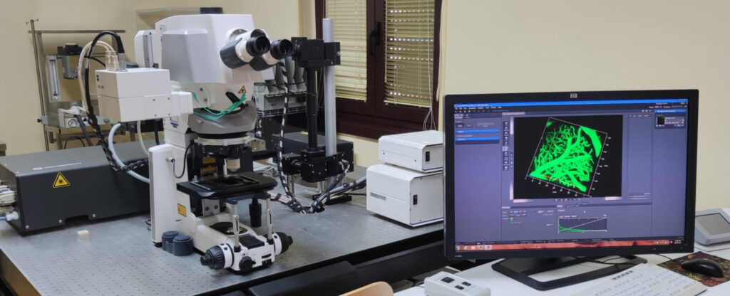 Sviluppo Tecnologico