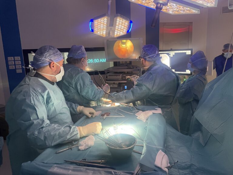 endoscopia spinale